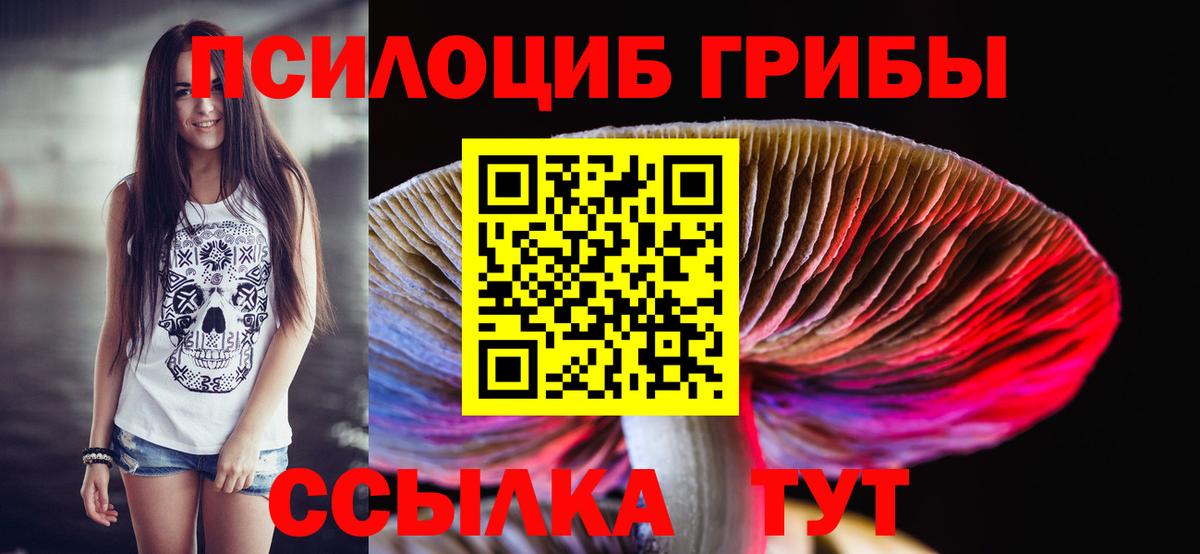 Псилоцибиновые грибы GOLDEN TEACHER Рыбинск